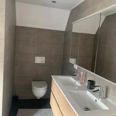 Klassiek Veluws Onder De Beuken *