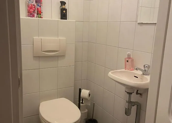 Klassiek Veluws Onder De Beuken *