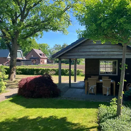 Klassiek Veluws Onder De Beuken *