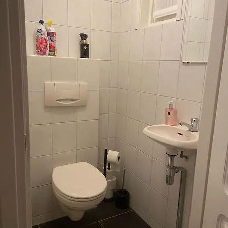 Klassiek Veluws Onder De Beuken *