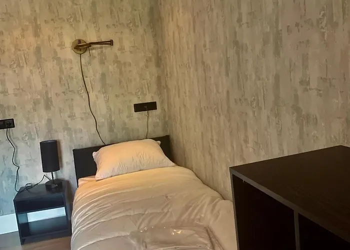 Klassiek Veluws Onder De Beuken *