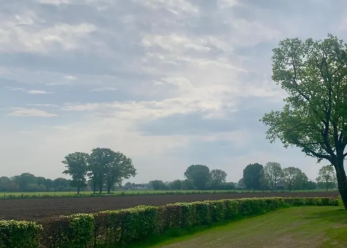 Nyaraló Klassiek Veluws Onder De Beuken